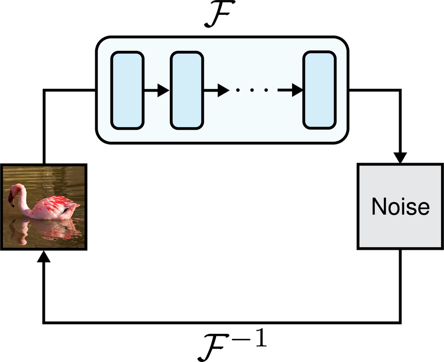 BiFlow forward and reverse flow diagram